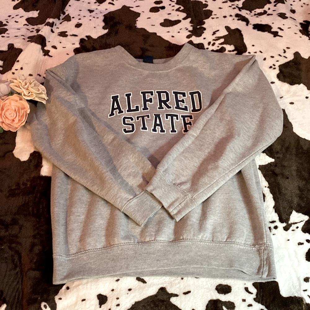 CREWNECK Alfred State College girls size L
